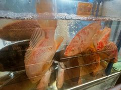 -朱仔记食府(江南大道店)