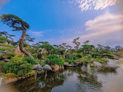 -罗红摄影艺术馆