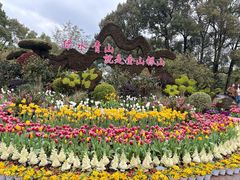 -南山植物园
