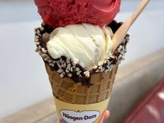 -哈根达斯(大洋百货店)