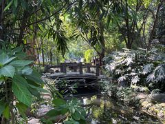 -成都市活水公园