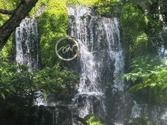 -Chom Cafe and Restaurant