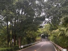 -铁山坪森林公园