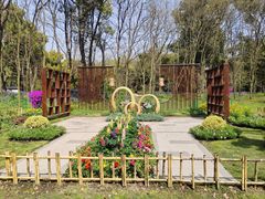 -上海共青森林公园