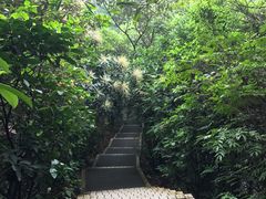 -广州市白云山风景名胜区