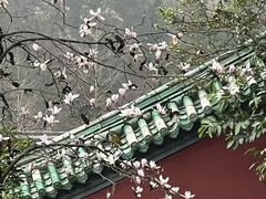 -武当山风景区