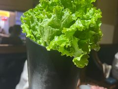 -九田家黑牛烤肉料理(太阳宫广场店)
