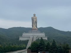 -中原大佛景区