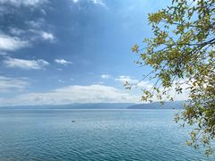 -抚仙湖禄充风景区