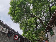 -赵府街副食店