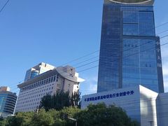 -三里屯东五街银杏大道