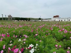 -坝上草原大汗行宫旅游景区