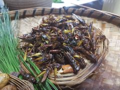 -昆虫窝子·特色云南菜(拓东路总店)