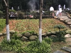 -三江森林温泉度假区