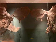 -青螺餐厅·家宴(松雅湖店)