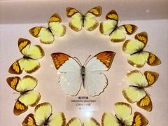 -艾溪湖湿地公园