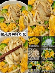 -Fundi张玉珊修身堂·indiba·BTL科技瘦身