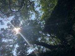 -北京鹫峰国家森林公园