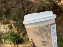 -茶颜悦色(岳麓山顶店)