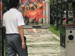 -金山农民画村-枫泾波兰倒置屋