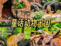 -长鹿旅游休博园