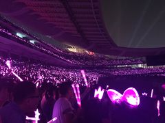 -南京奥林匹克体育中心-体育馆