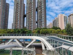 -福田红树林生态公园