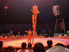 -丁香湖公园