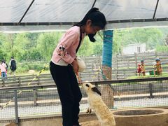 -前小桔亲子创意农场·草莓采摘·露营烧烤