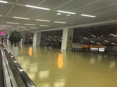 -郑州新郑国际机场-T2航站楼