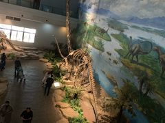 -自贡恐龙博物馆