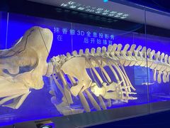 -厦门海底世界