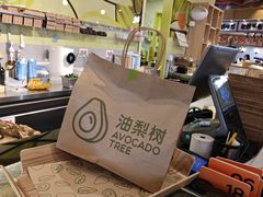 -油梨树AVOCADO TREE(嘉里中心店)