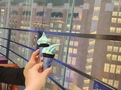 -小大董·烤鸭(观景餐厅·南京西路店)