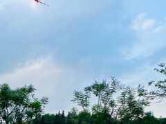 -深圳龙潭公园