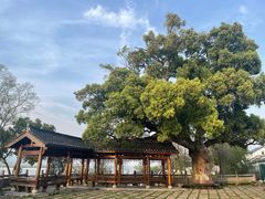 -东梓关景区村庄