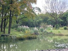 -杭州植物园
