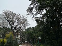 -九龙公园