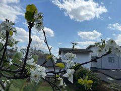 -云里小坐·小院里·团建·宴请·下午茶(三圣乡店)