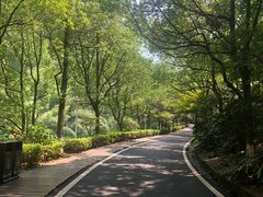 -长谷洞天