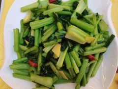 清炒苦菜-学成饭店(北辰店)