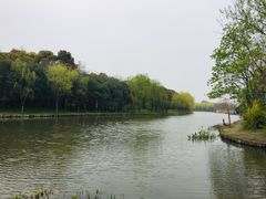-新江湾城公园