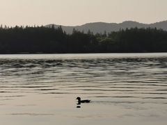 -苏堤停车场