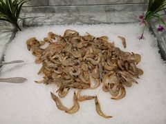 -火锅岛潮牌自助餐厅(天津天佑城店)