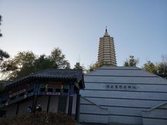 -舍利塔滩地公园-无垢净光舍利塔