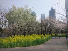 -西北湖绿化广场