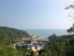 -广东惠东海龟国家级自然保护区