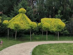 -长春公园(普阳街道)