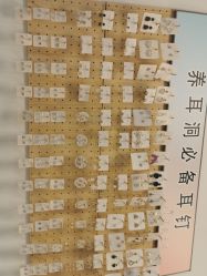 -AI艾耳·专业手工耳洞·穿孔美学馆