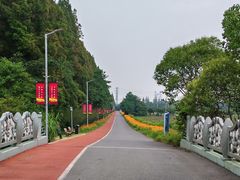 -上海长兴岛郊野公园